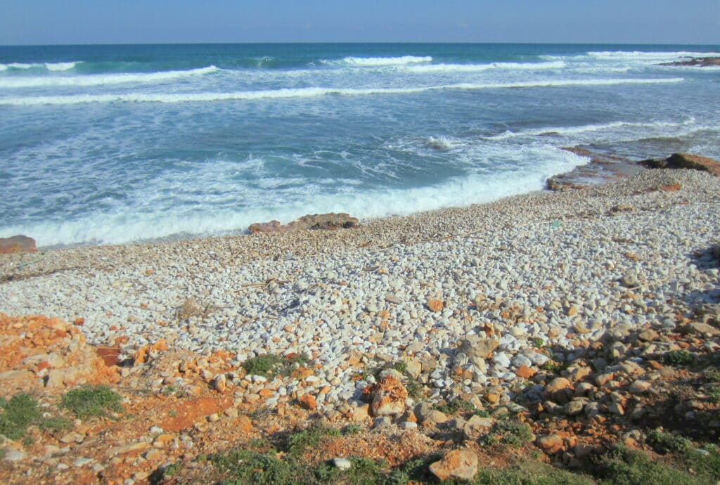 Las Rotas Dénia